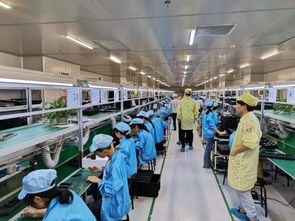 深圳賽博華宇攜手蘇寧拼拼工廠 以技術服務驅動百萬銷量目標