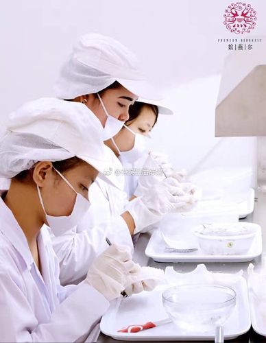 極致自然·官燕兒 武漢市場(chǎng)技術(shù)推廣營(yíng)銷策劃案